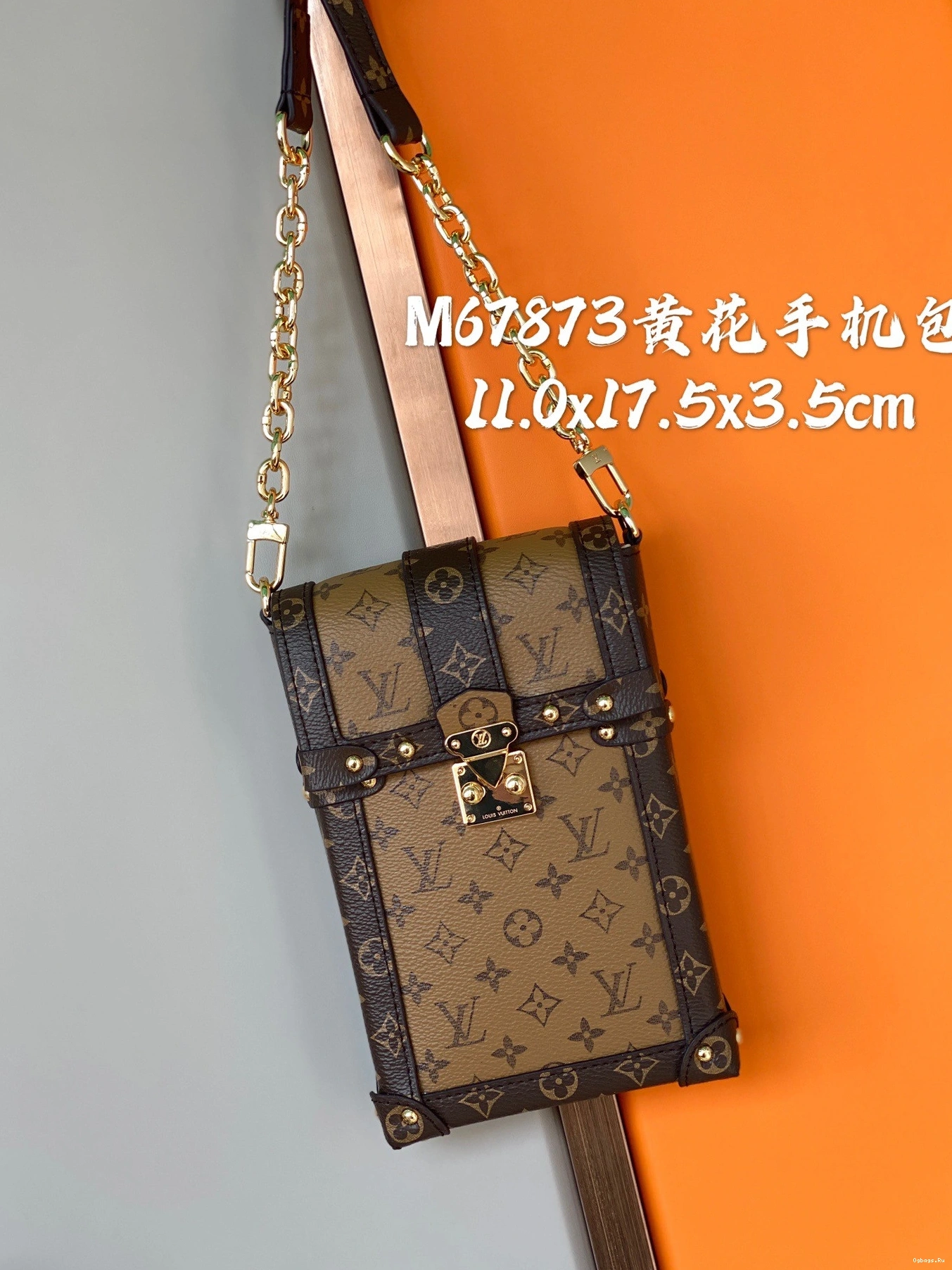 TRUNK LOUIS POCHETTE VERTICAL VUITTON 0509